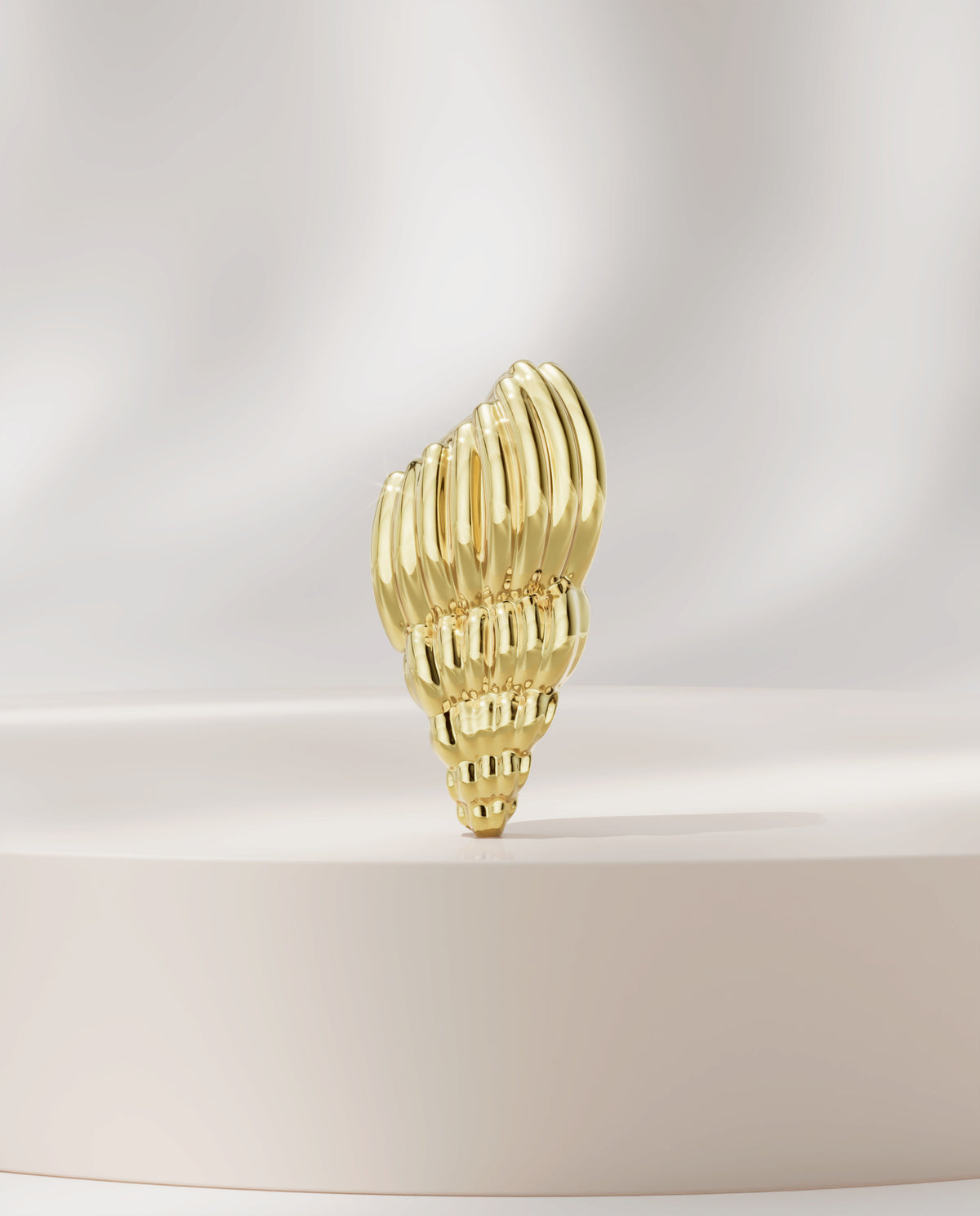 Curved Seashell
