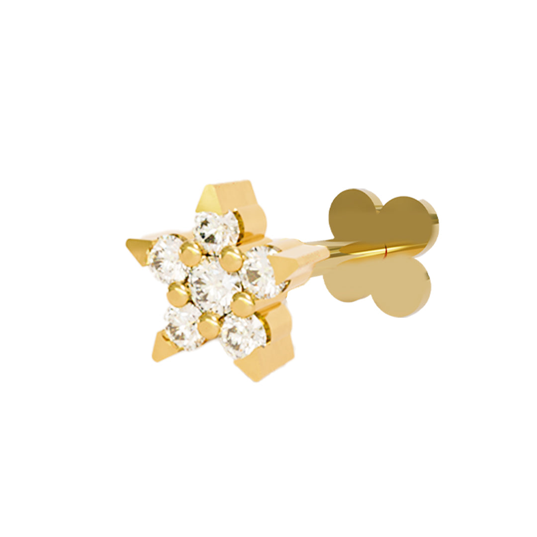 Starlight Elegance