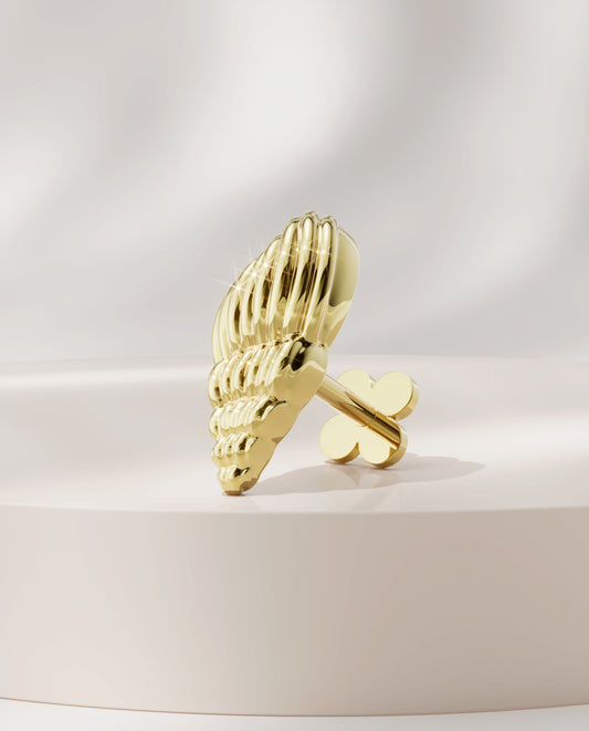 Curved Seashell